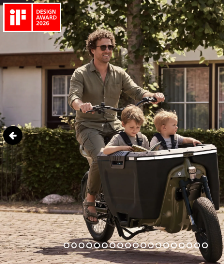 Elektro Transportfahrrad  CargoX, Familie, 2 Rad, mit Code, Hydr. Bremsen,  versch. Farben